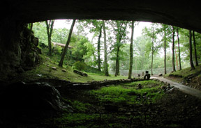 Norther Alabama Caverns by Larry Larsen