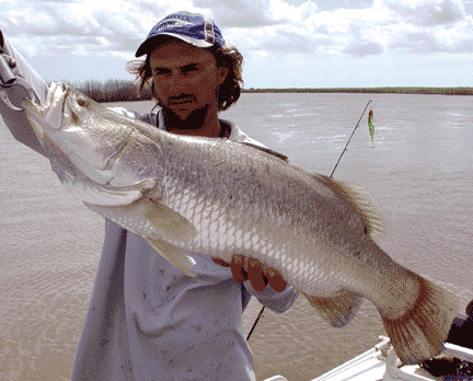 Barramundi