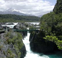 Petrohue Falls Chile by Larry Larsen