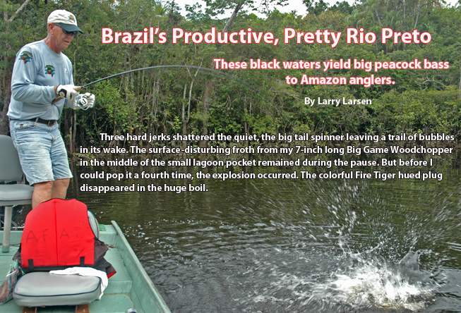 Brazil's Preto River