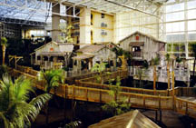 Everglades Atrium - Adventure Travel