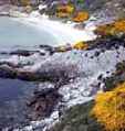 Falkland Islands Seascape by Larry Larsen