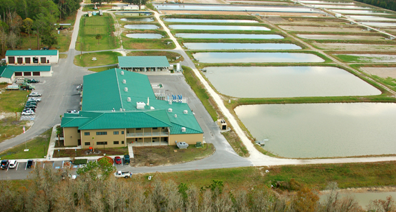 bASS hATCHERY