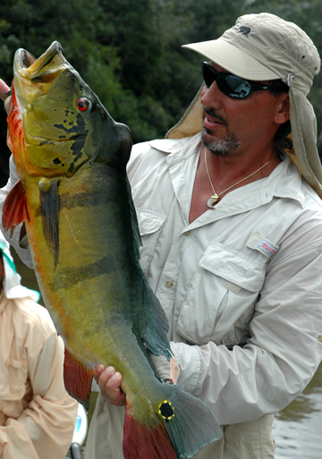 George Sammut peacock