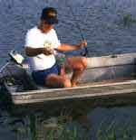 Louisiana Crappie