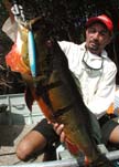 Monster Peacock Bass - Larsen's Adventure Travel magazine