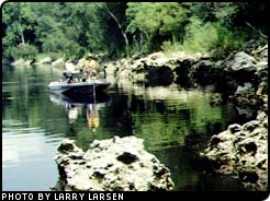 Suwanne River Bass Fishing - Limestone 