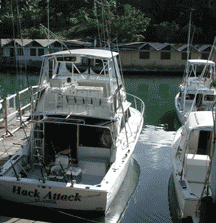 St Lucia Marina