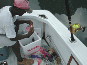 St Lucia Fishing