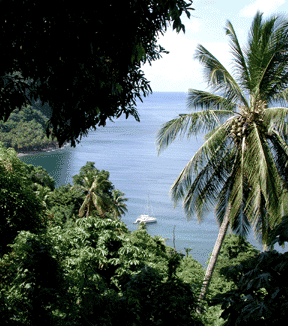 St Lucia View