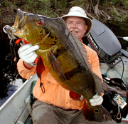 Larry with 25 Pound Peacock