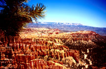 Bryce Canyon photo by Larry Larsen