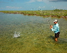 Bahamas bonefish guide