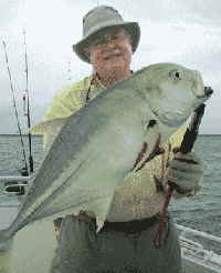 Australia Angler