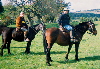 Chile horseback