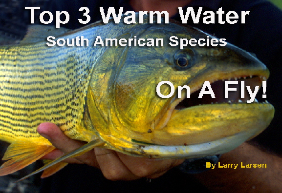 Top Warm Water Species