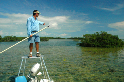 Bonefish guide