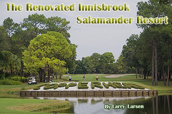 Innisbrooklead