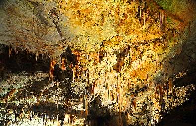 Postojna Cave