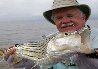 Larry's Tiger Fish