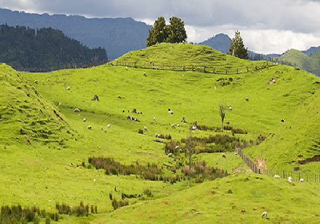 Scenic rolling hills