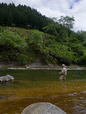 Stream fishing for trout