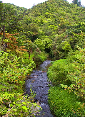 nature trail walk