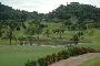 Panama Golf