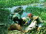 Peru Amazon Paiche Fish - Larsen's Adventure Travel magazine