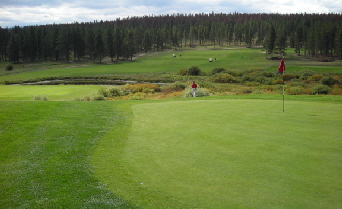 Challenge at Pole Creek