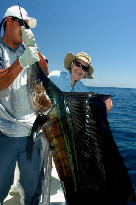 The most beautiful sailfish ever!