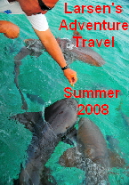 Summer 2008 Cover