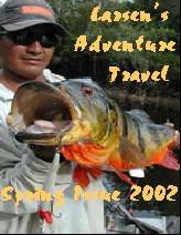 Spring 2002