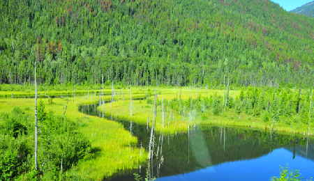 Via Rail Scenic View