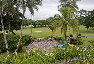 Pearl South Pacific Golf