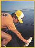 Frank Sargeant's Trout Book