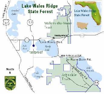 Lake Wales Ridge