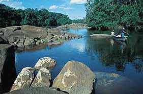 Casiquiare River photo by Larsen