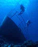 Caribbean Diving