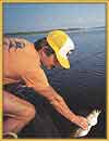 Frank Sargeant's Trout Book