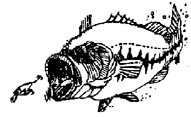 Larsen's Outdoor Publishing fishing logo