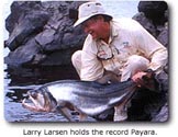 Larry Larsen with Record Payara fish